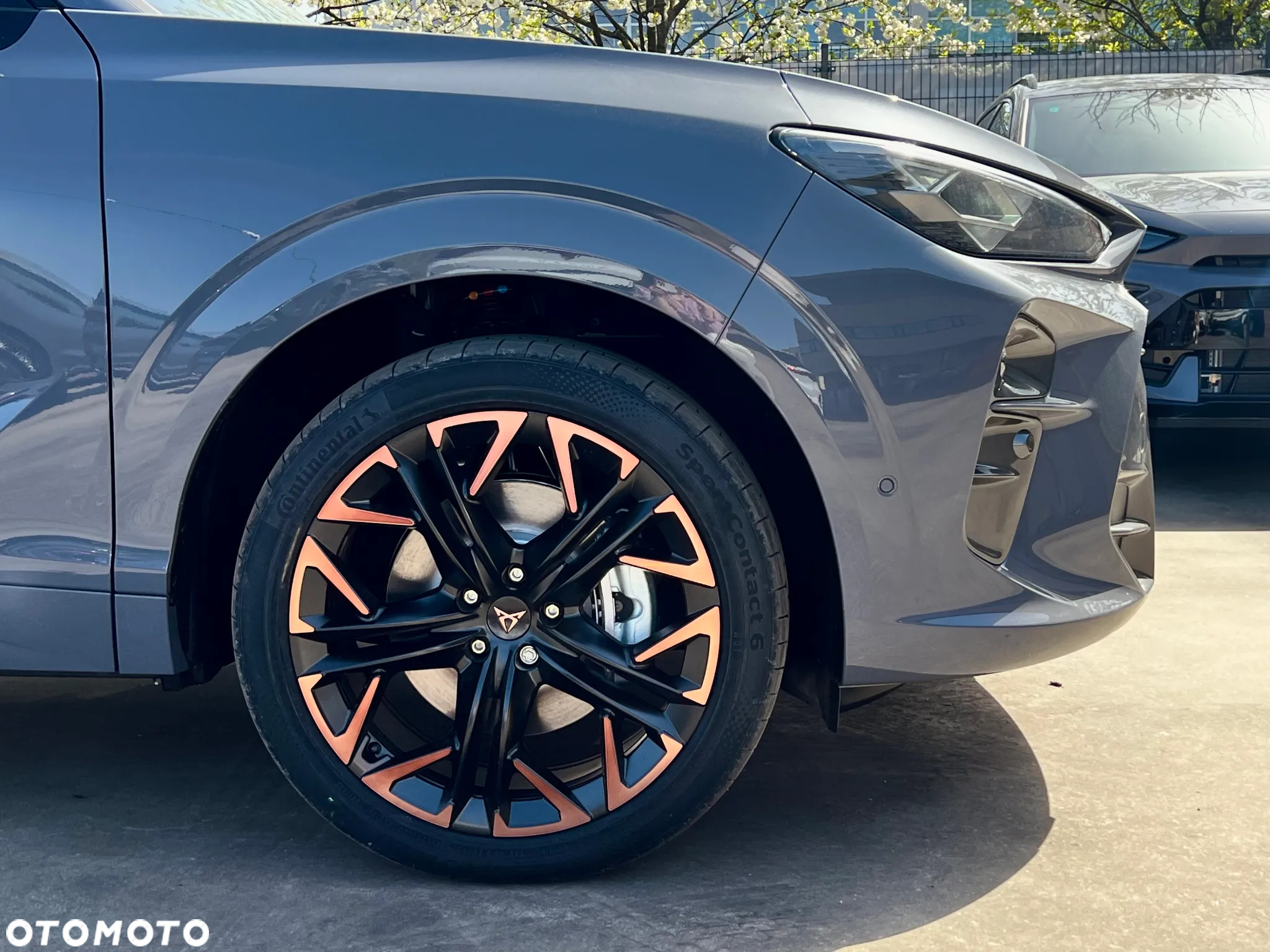 Cupra Terramar 2.0 TSI 4Drive DSG - 10