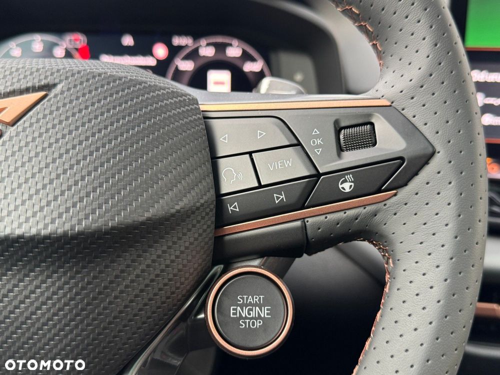 Cupra Terramar - 31