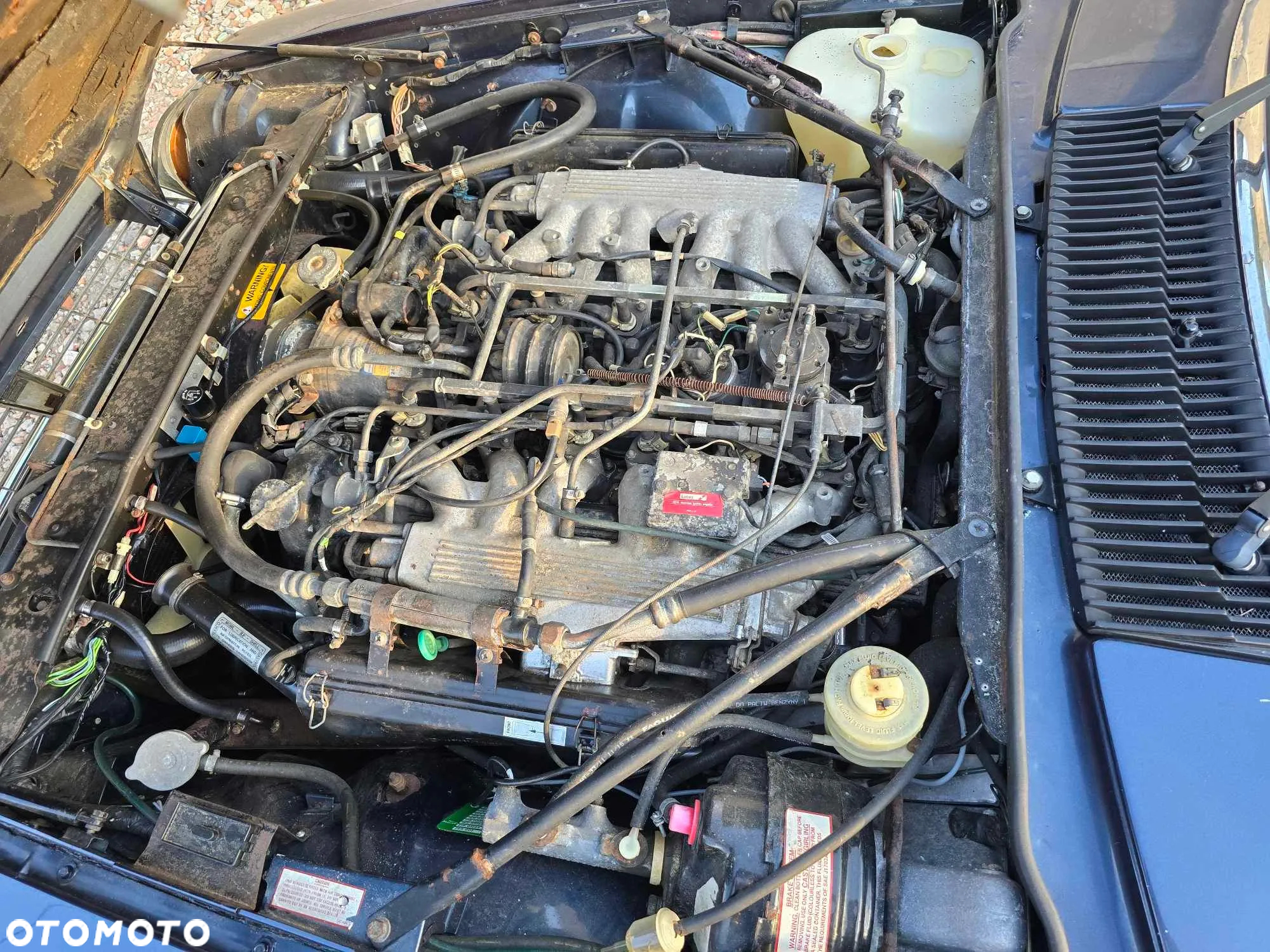 Jaguar XJS - 12