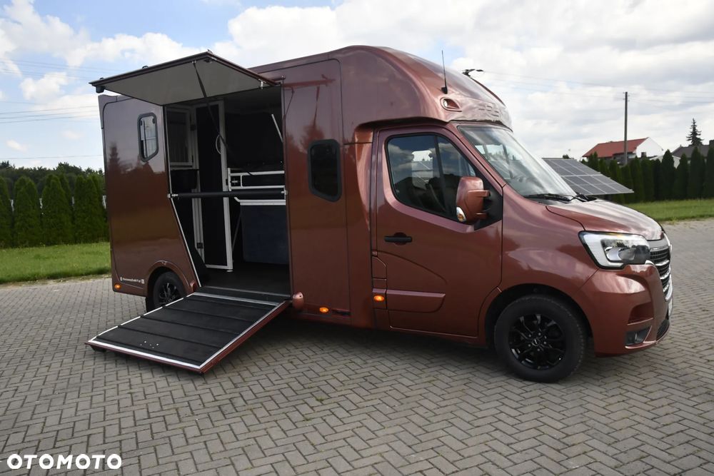 Renault Master Koniowóz - 3