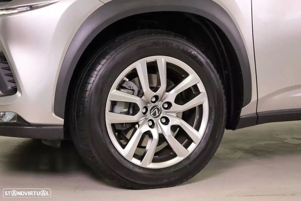 Lexus NX 300h Executive Plus - 14