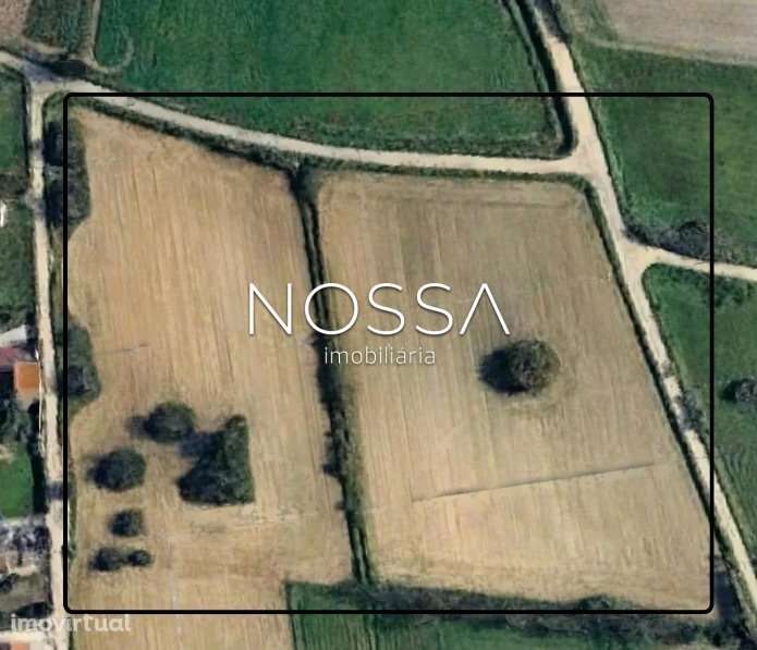 Terreno Misto de 26.520 m² na Barra Cheia – Potencial, Natureza e L... - Grande imagem: 2/15