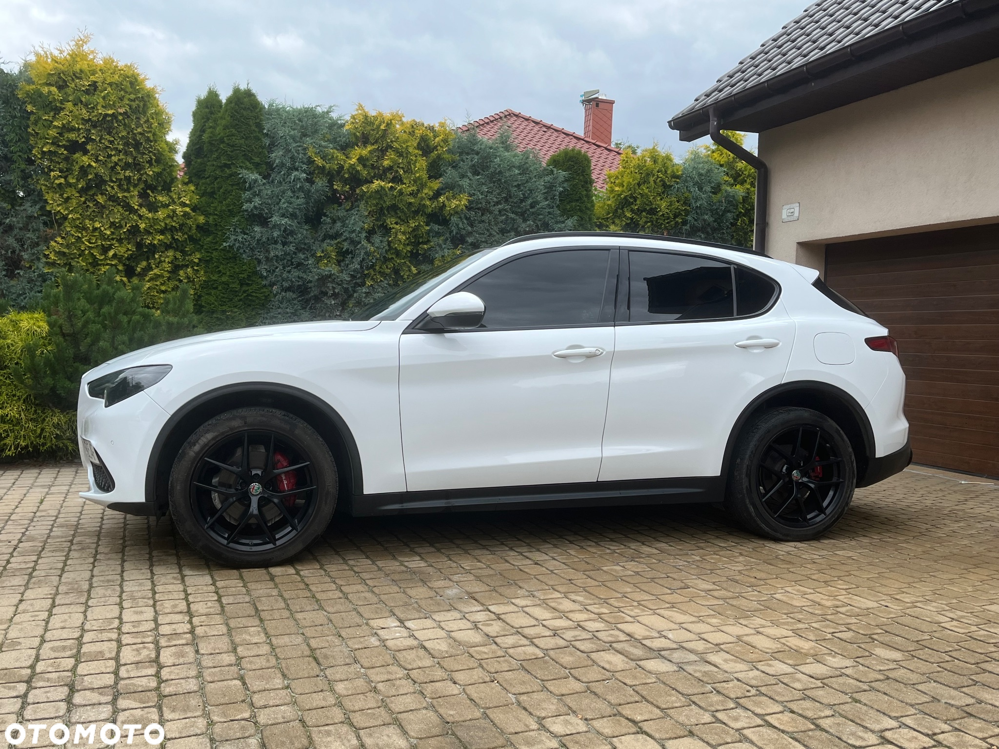 Alfa Romeo Stelvio 2.0 Turbo 16V AT8-Q4 Veloce Ti - 9