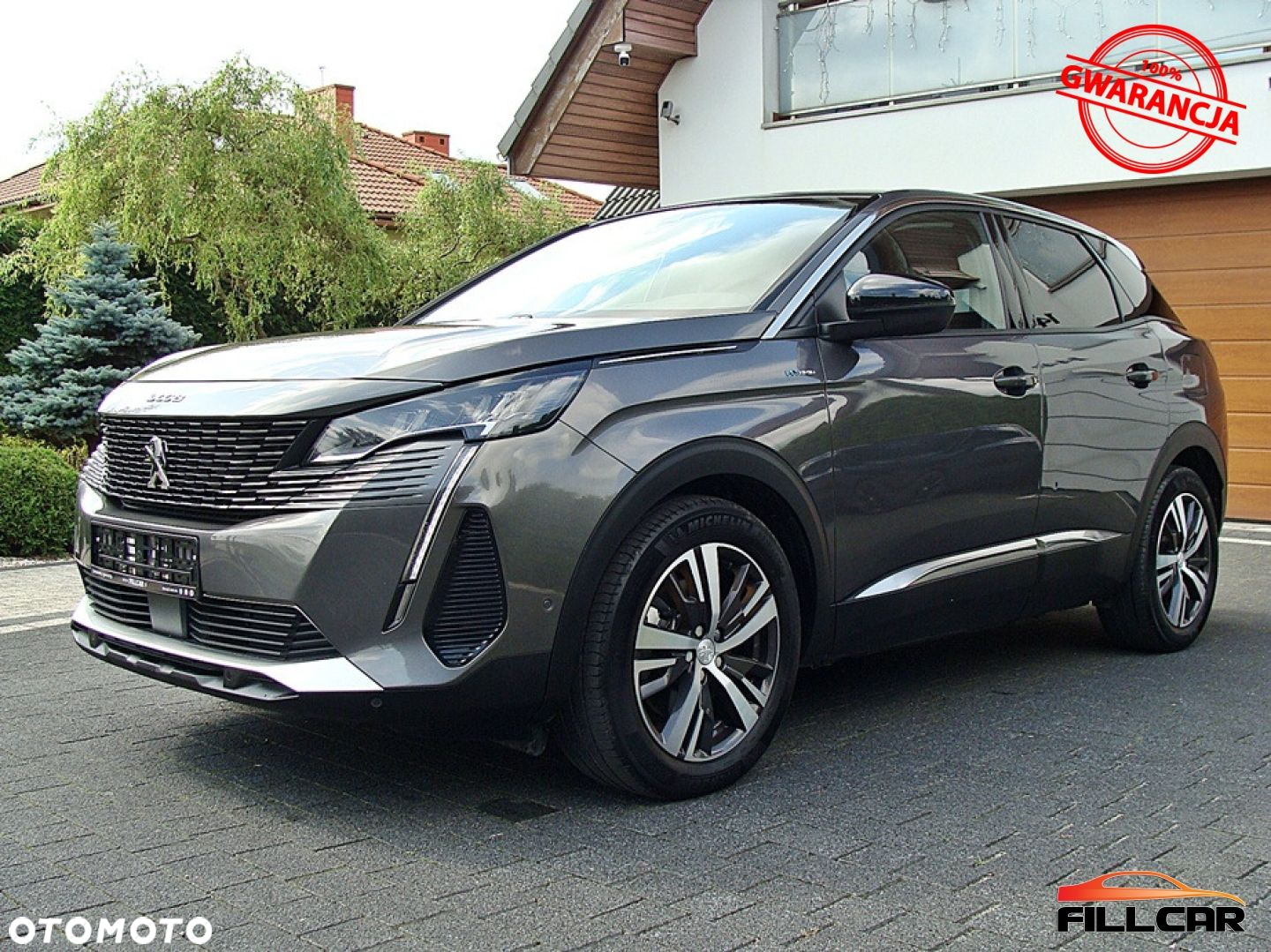 Peugeot 3008 - 30