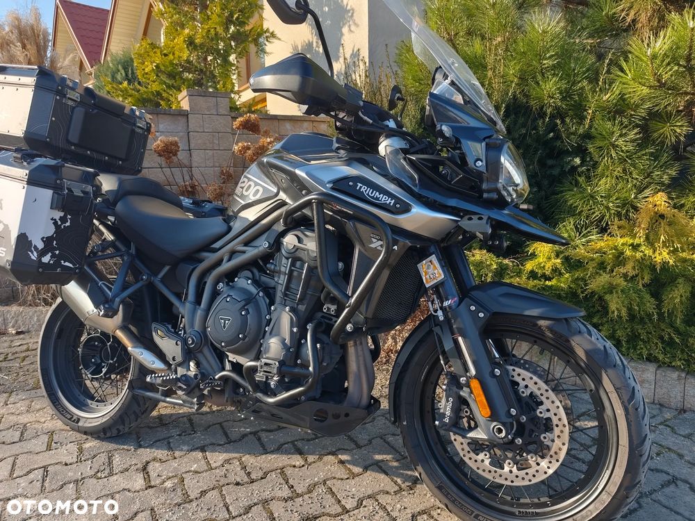 Triumph Tiger - 14