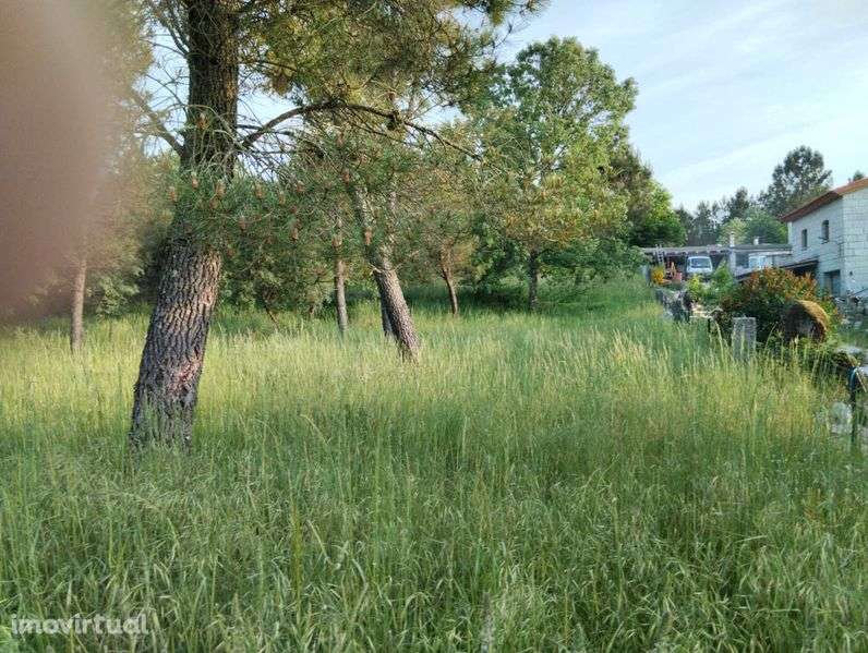 Terreno Rústico 7385 m2 - LAMOSA - SERNANCELHE - Grande imagem: 5/12