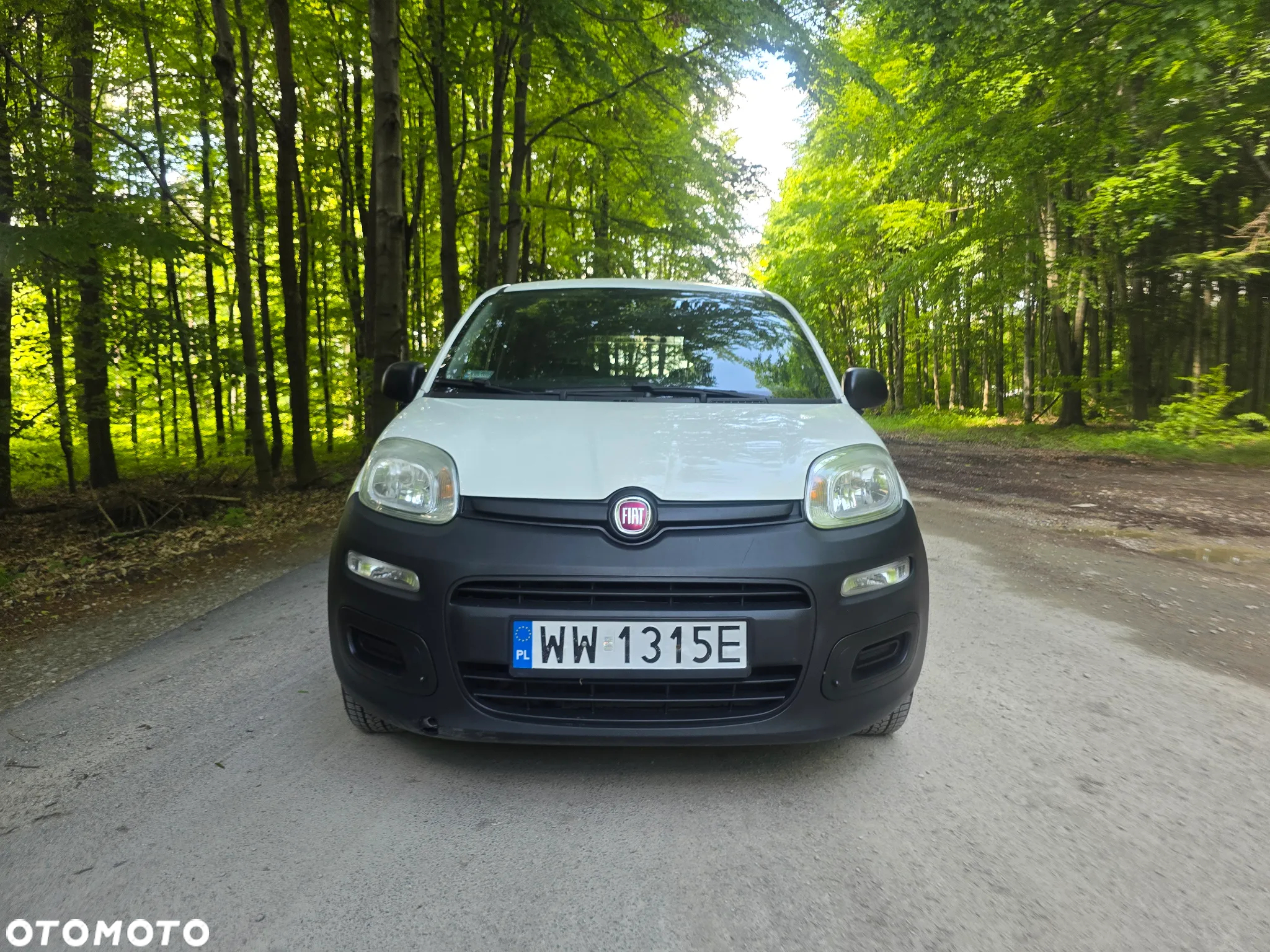Fiat Panda - 17