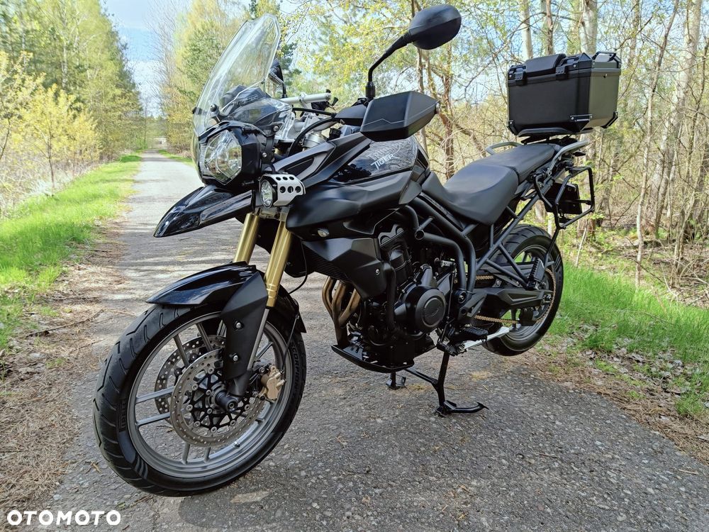 Triumph Tiger - 28