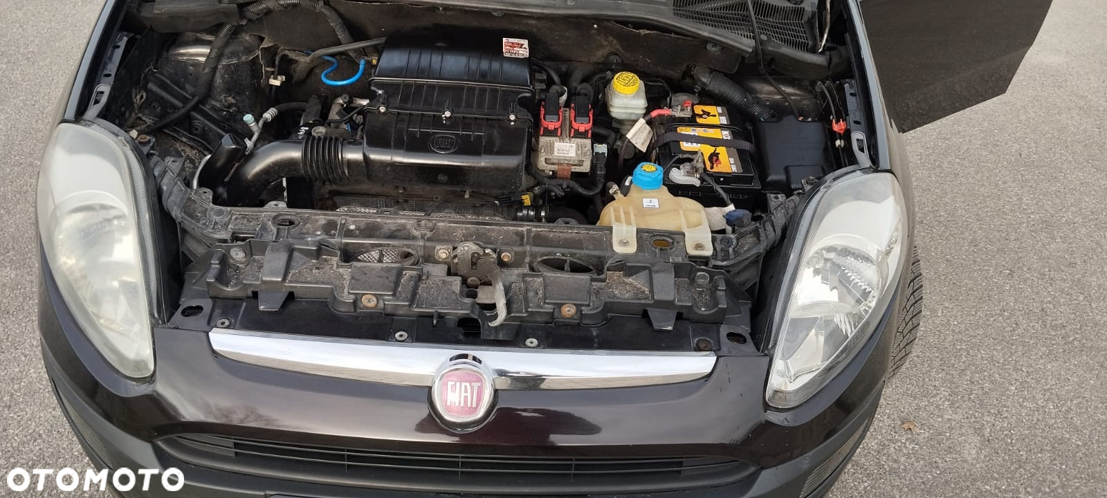 Fiat Punto Evo 1.4 8V Active - 9