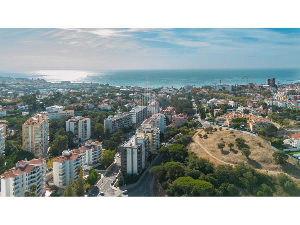Apartamento T1 Renovado | Estoril - Grande imagem: 3/60