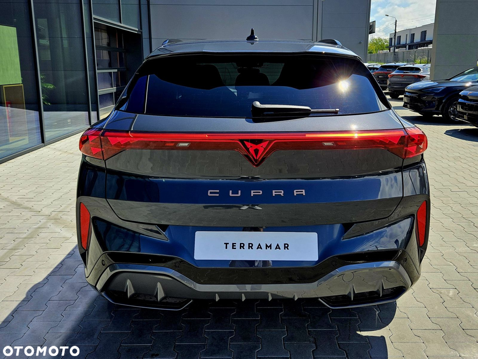 Cupra Terramar - 5