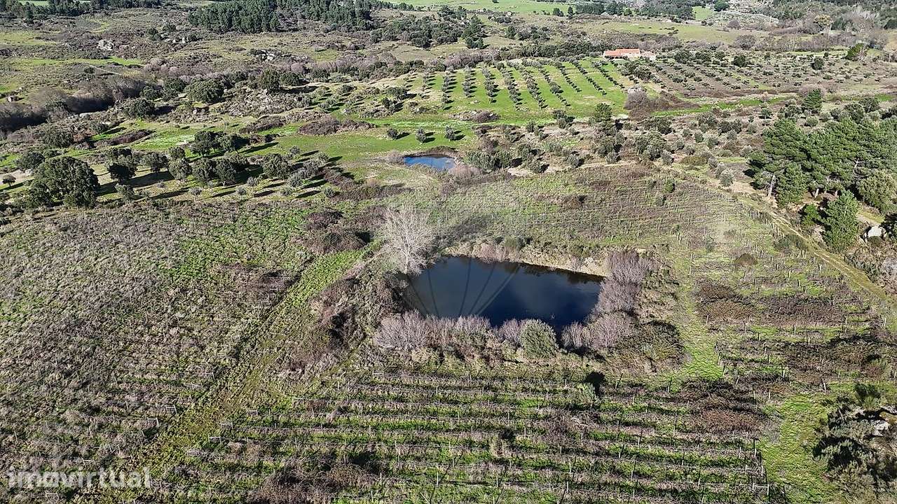 Terreno  para venda - Grande imagem: 5/14