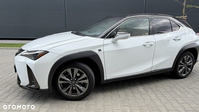 Lexus UX 200 GPF F Sport Design+ 2WD - 22