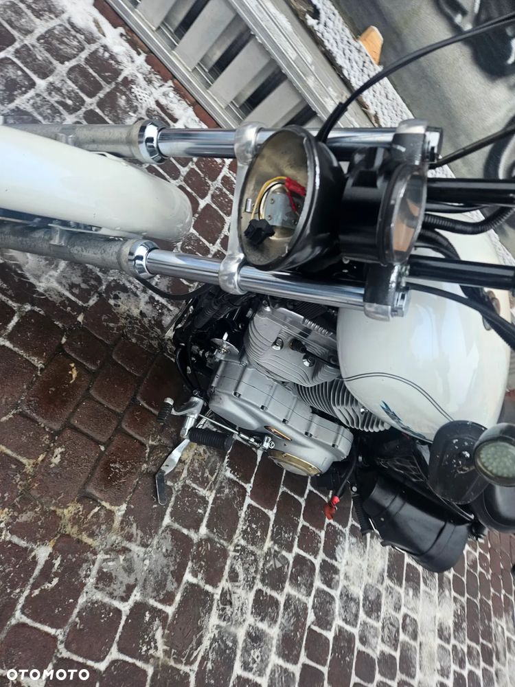 Harley-Davidson Sportster Custom 883C - 12