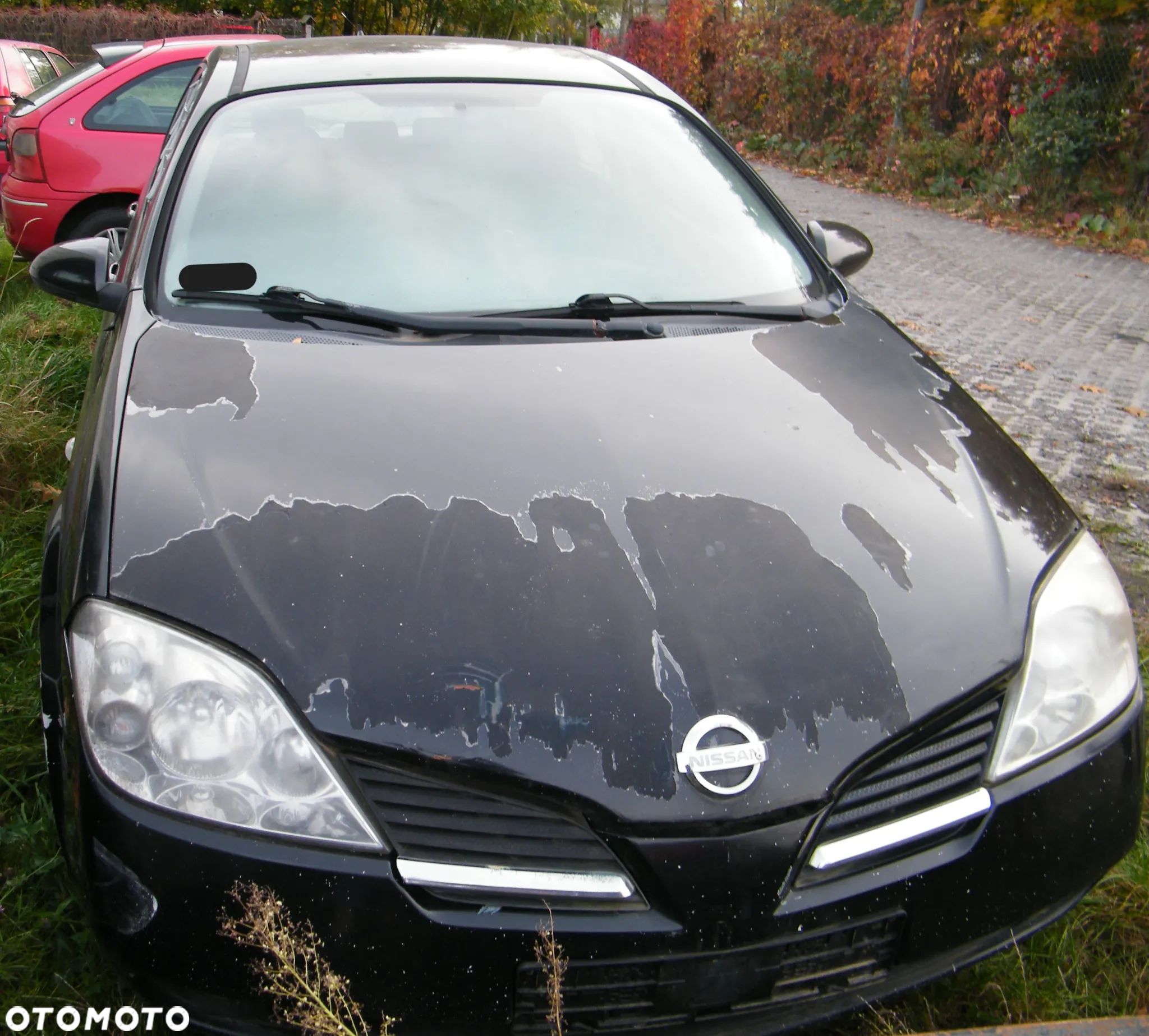 Nissan Primera P12 1.8 B 115KM silnik QG18DE lakier Z11 - 1