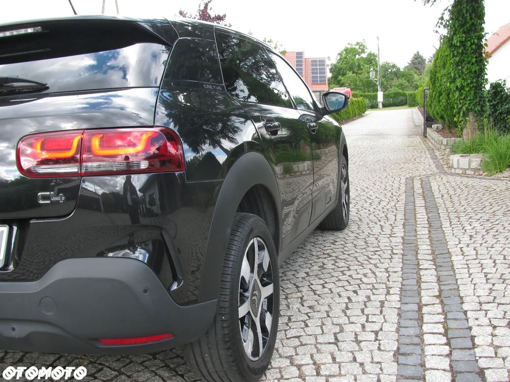 Citroën C4 Cactus PureTech 110 Stop&Start Live - 31
