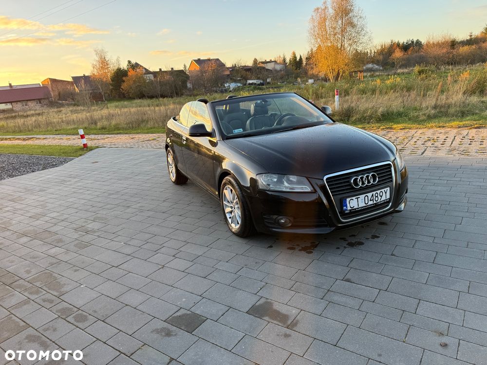 Audi A3 Cabrio 1.9 TDI DPF Attraction - 8