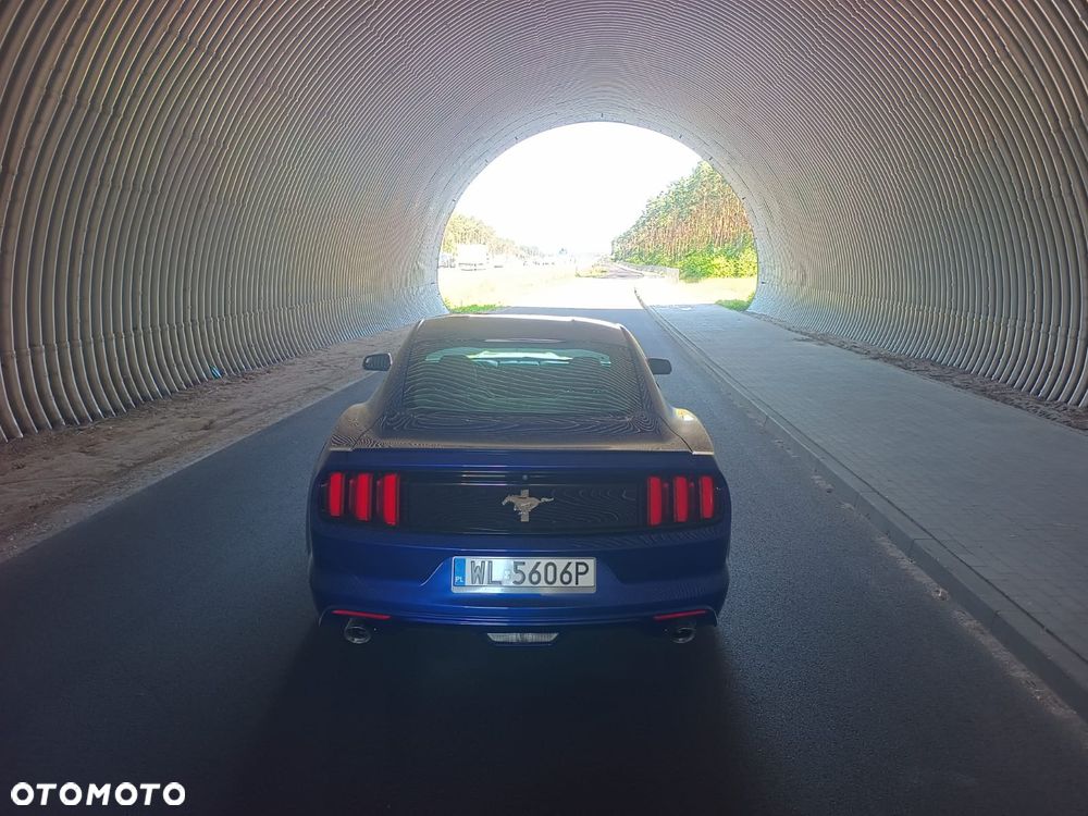 Ford Mustang 3.7 V6 - 11