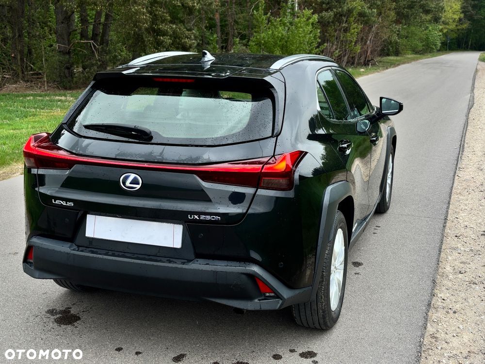 Lexus UX 250h Executive Line - 10