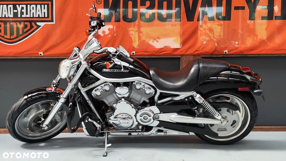 Harley-Davidson Softail V-Rod - 5