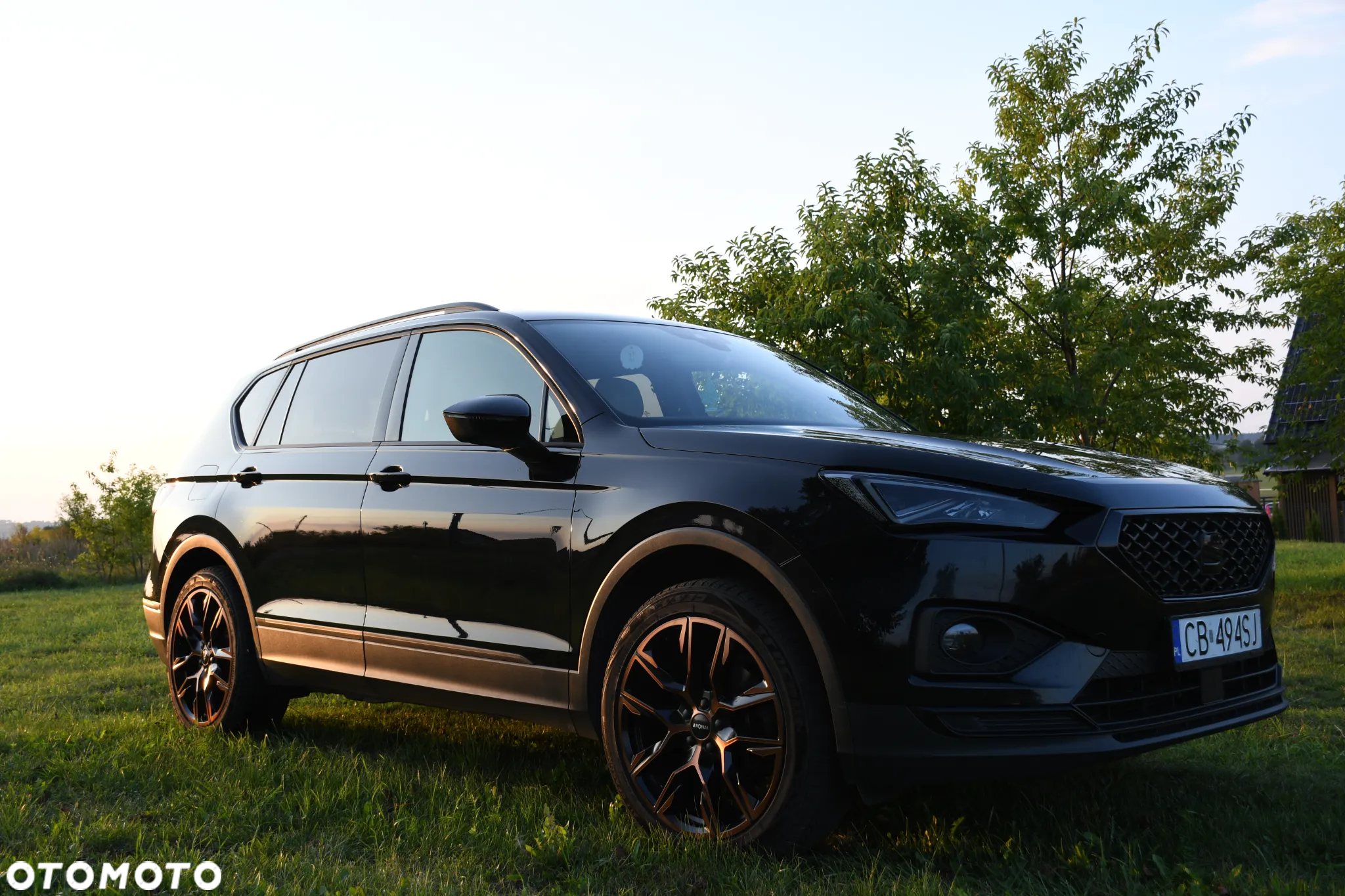 Seat Tarraco 2.0 TDI Xperience S&S DSG - 3