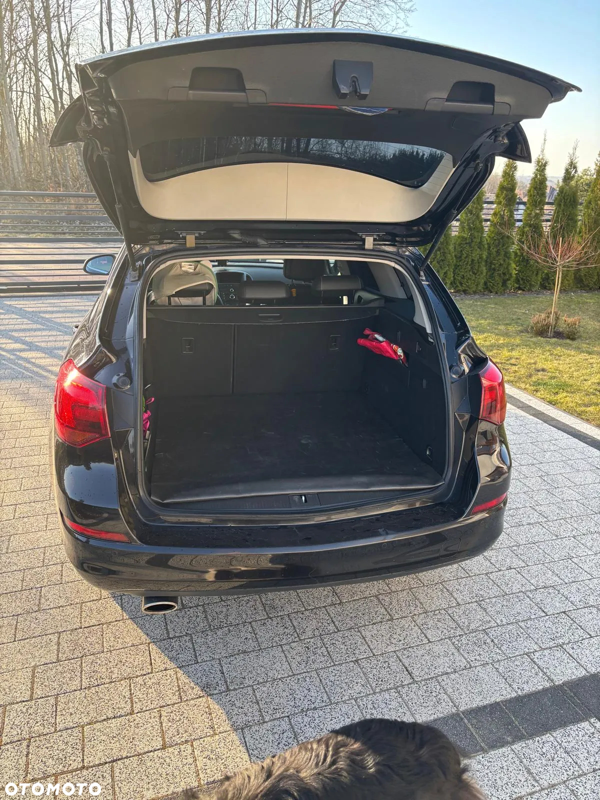 Opel Astra IV 2.0 CDTI Sport - 3