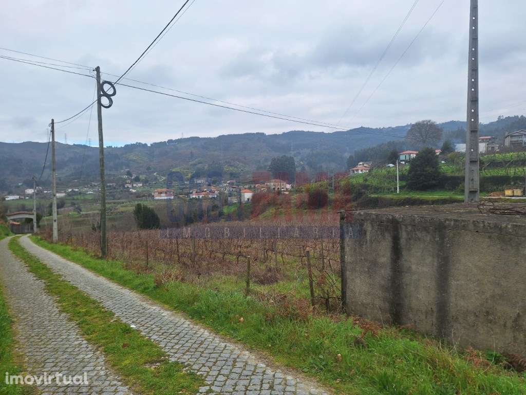 Terreno de 8000m² à Venda em Baião - Uma Oportunidade Única no Nort... - Grande imagem: 3/26