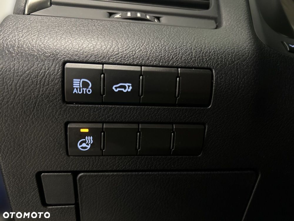 Lexus RX 450h F-Impression - 29
