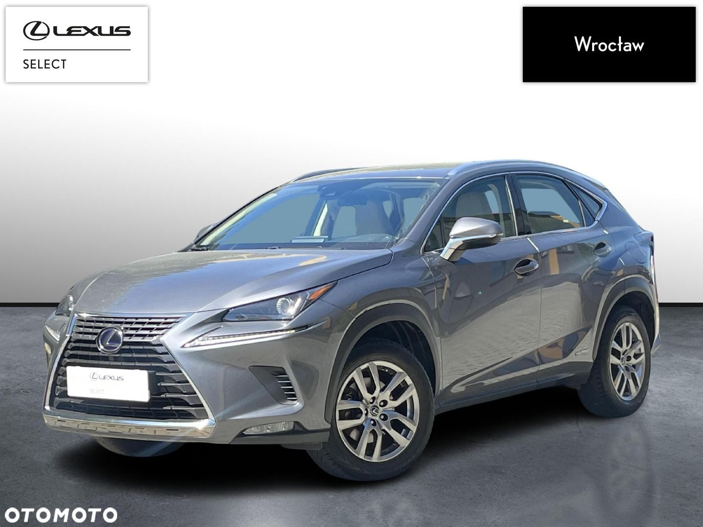 Lexus NX - 1