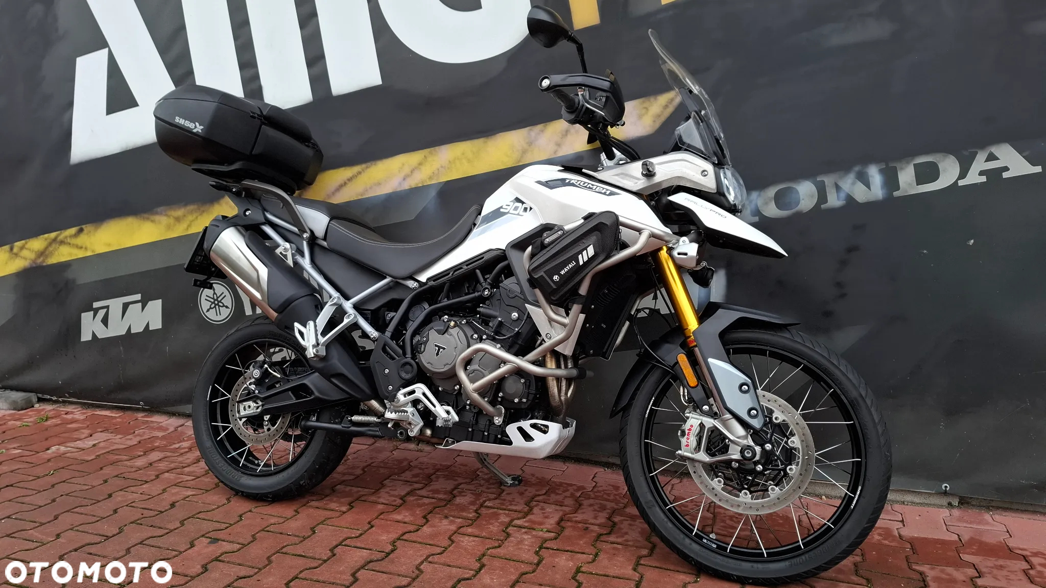Triumph Tiger - 3