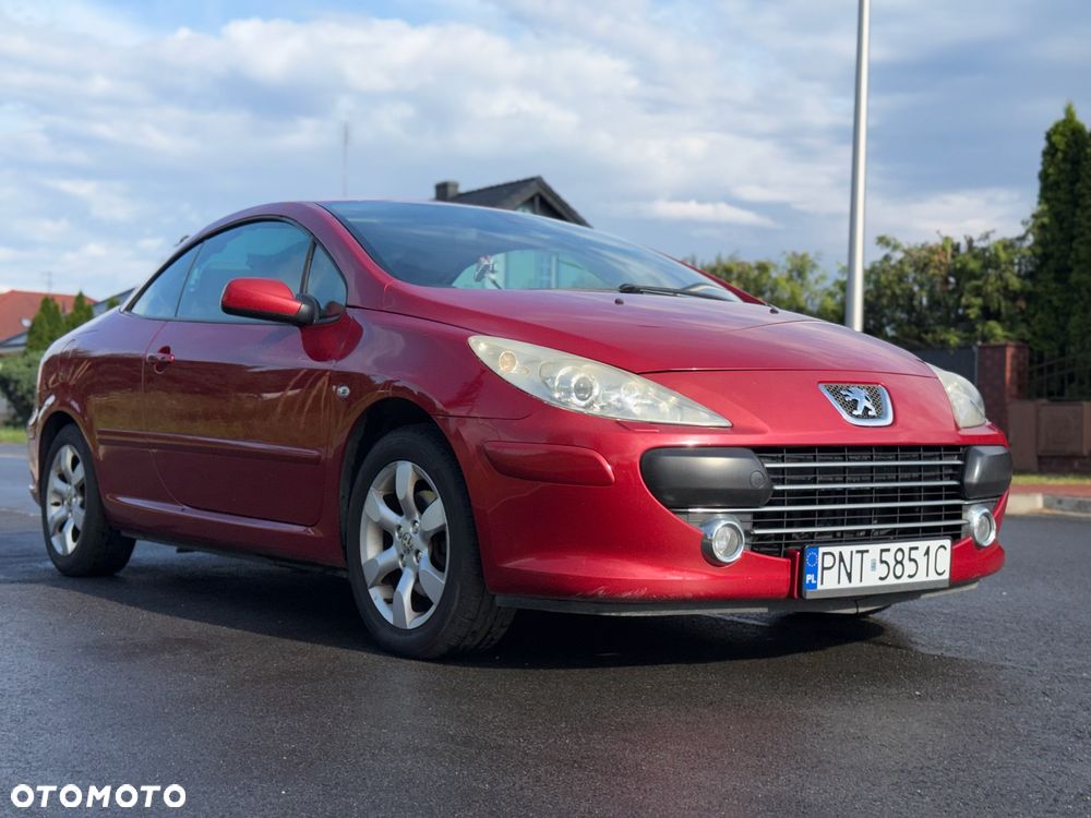 Peugeot 307 - 12