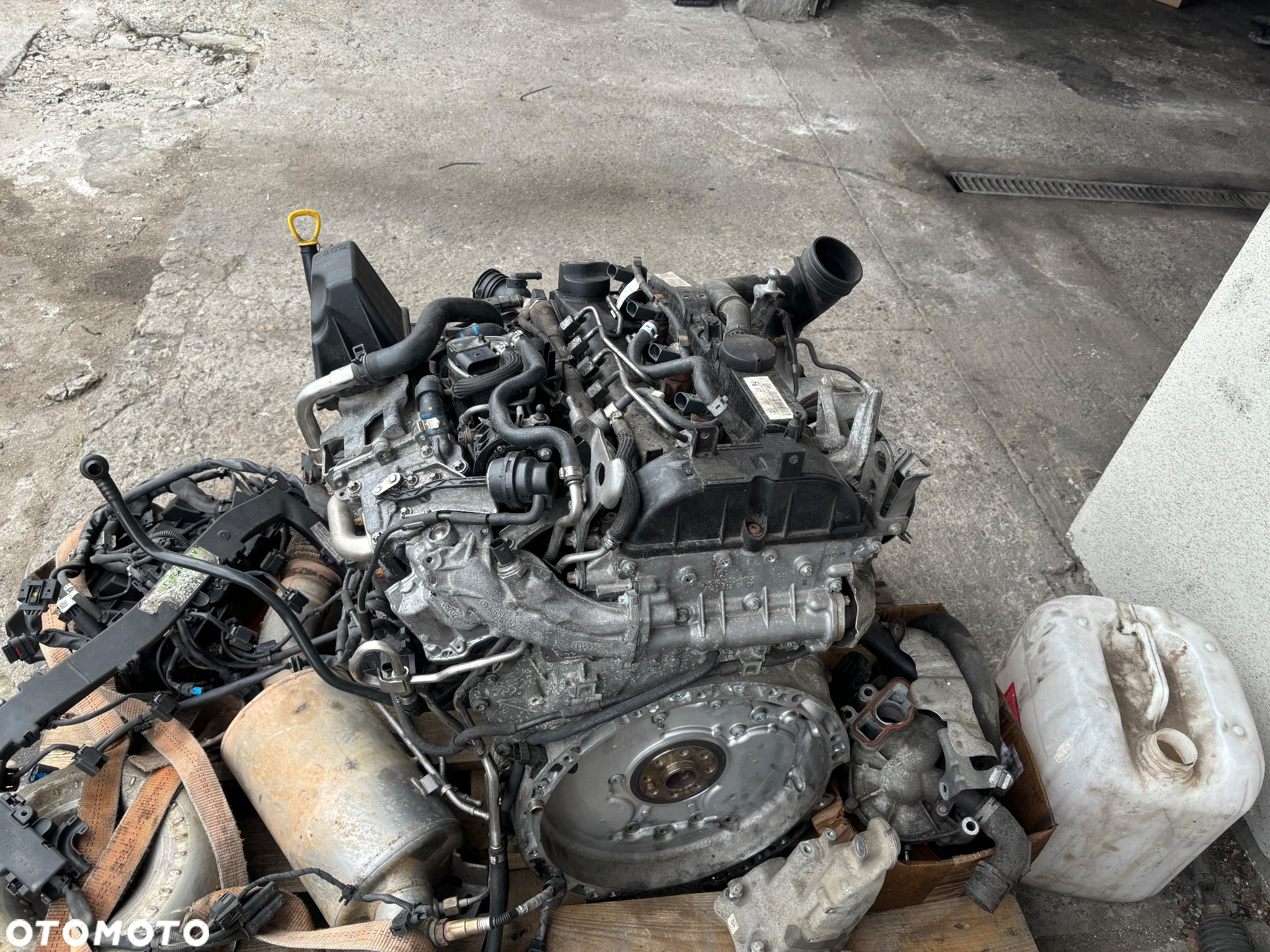 Vito 2019r - 3