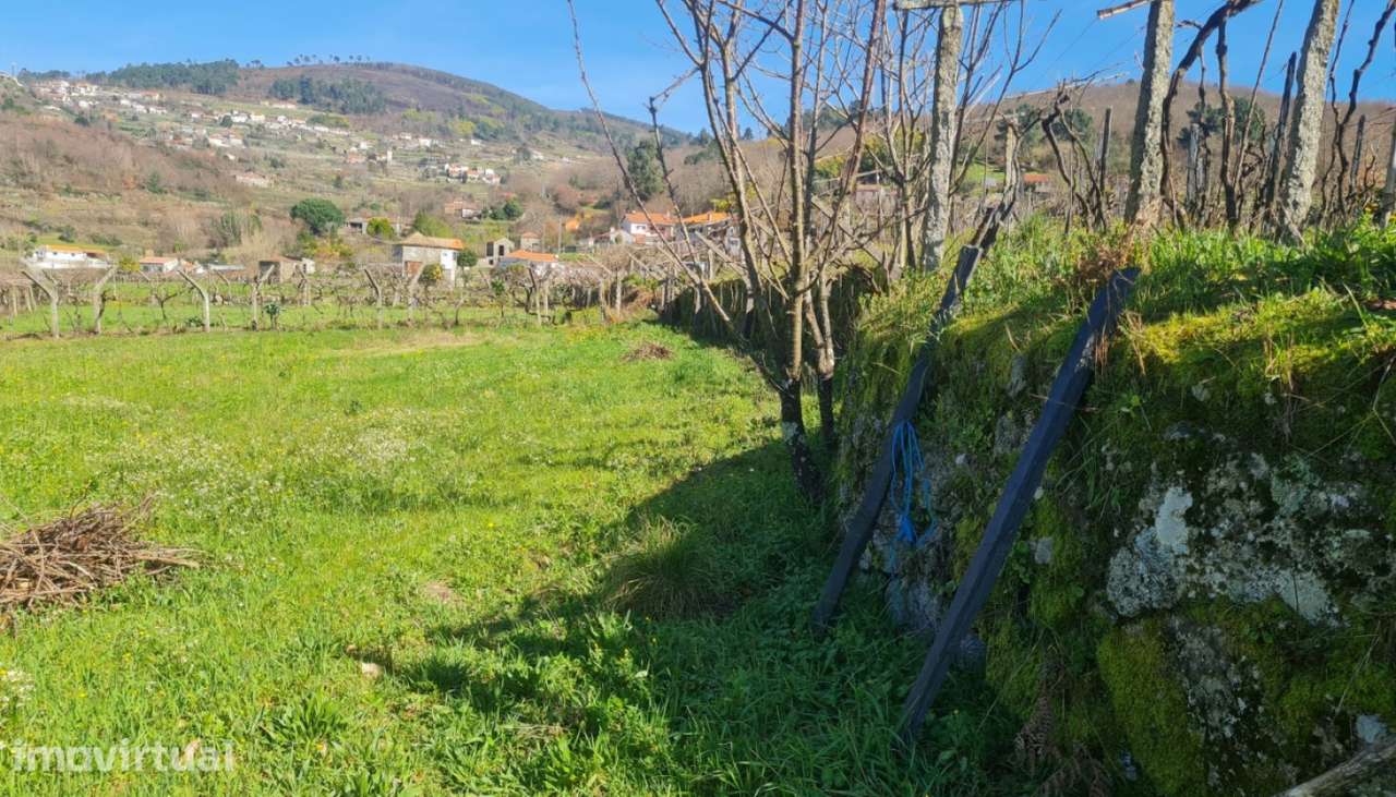 Venda Terreno, Gestaçô, Baião - Grande imagem: 4/20