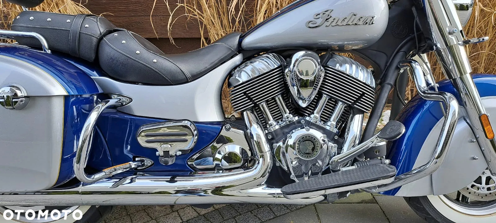 Indian Springfield - 17
