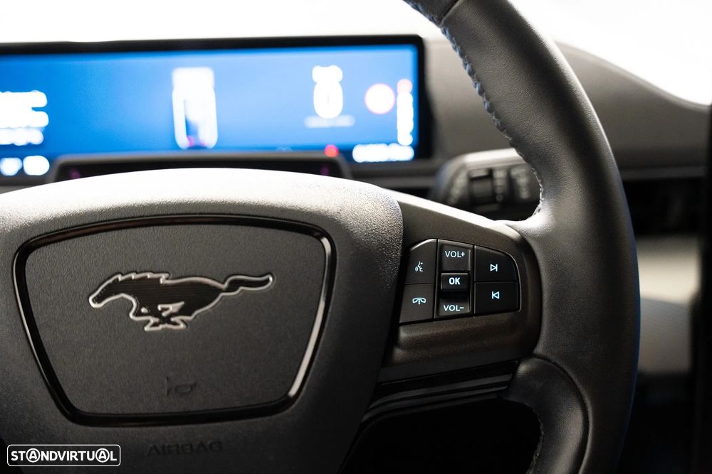 Ford Mustang Mach-E Standard - 14