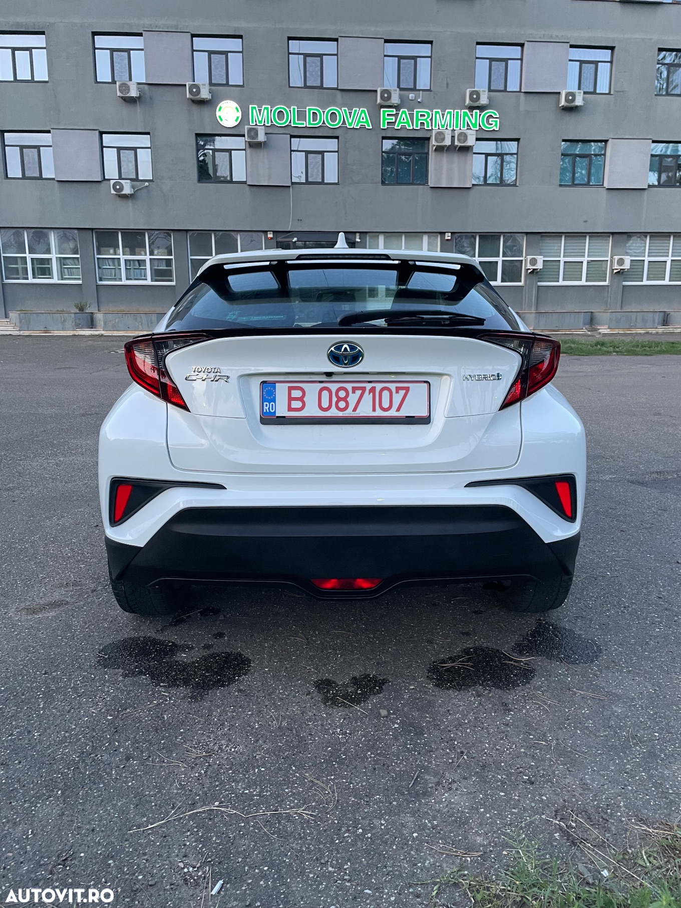 Toyota C-HR Hybrid Business-Edition - 4