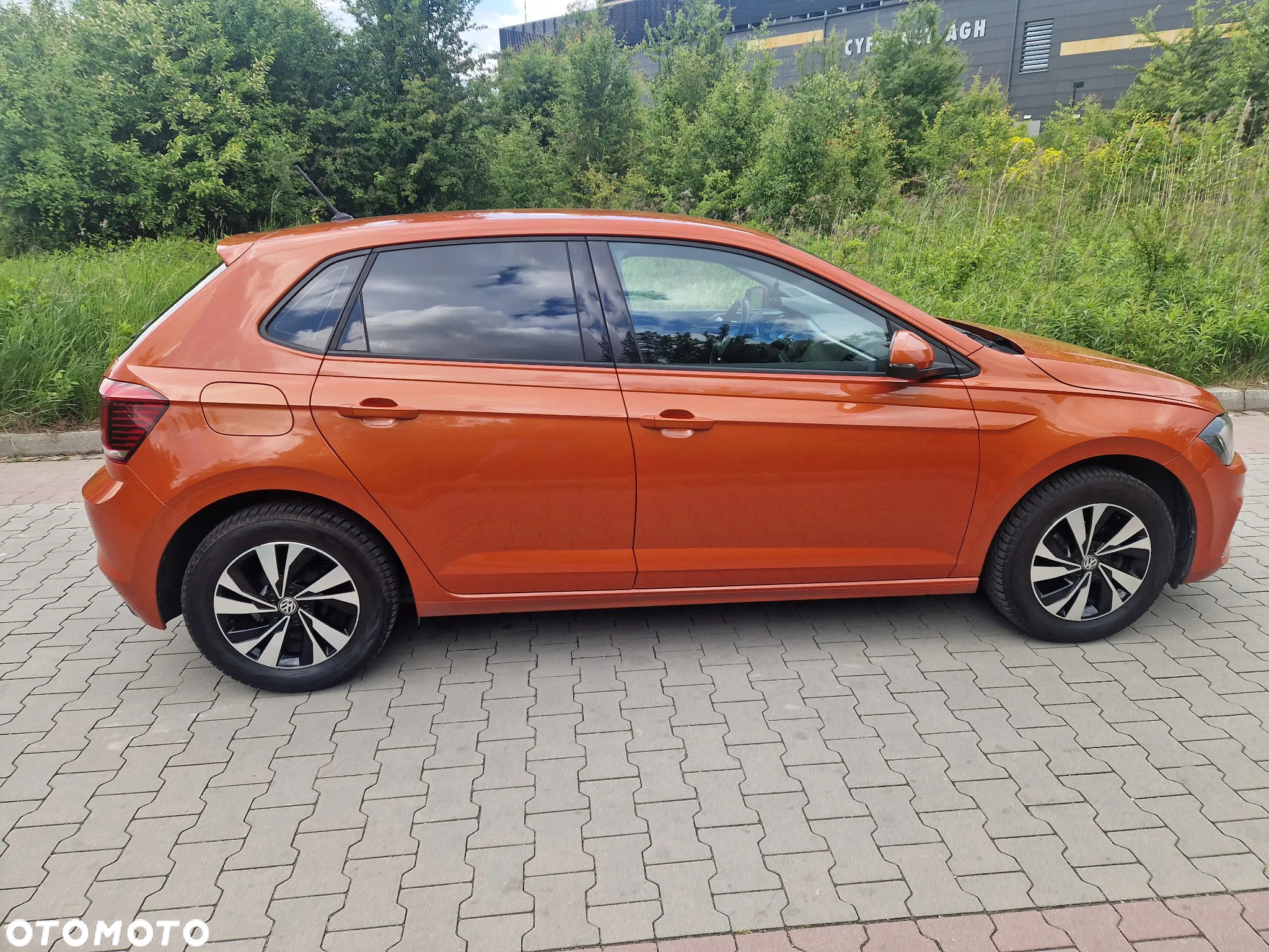 Volkswagen Polo - 4