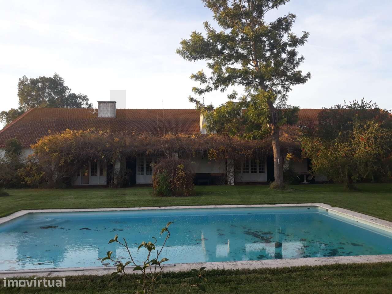 Quinta de 25 ha, moradia T5, piscina, investimento potencial turístico - Grande imagem: 5/40