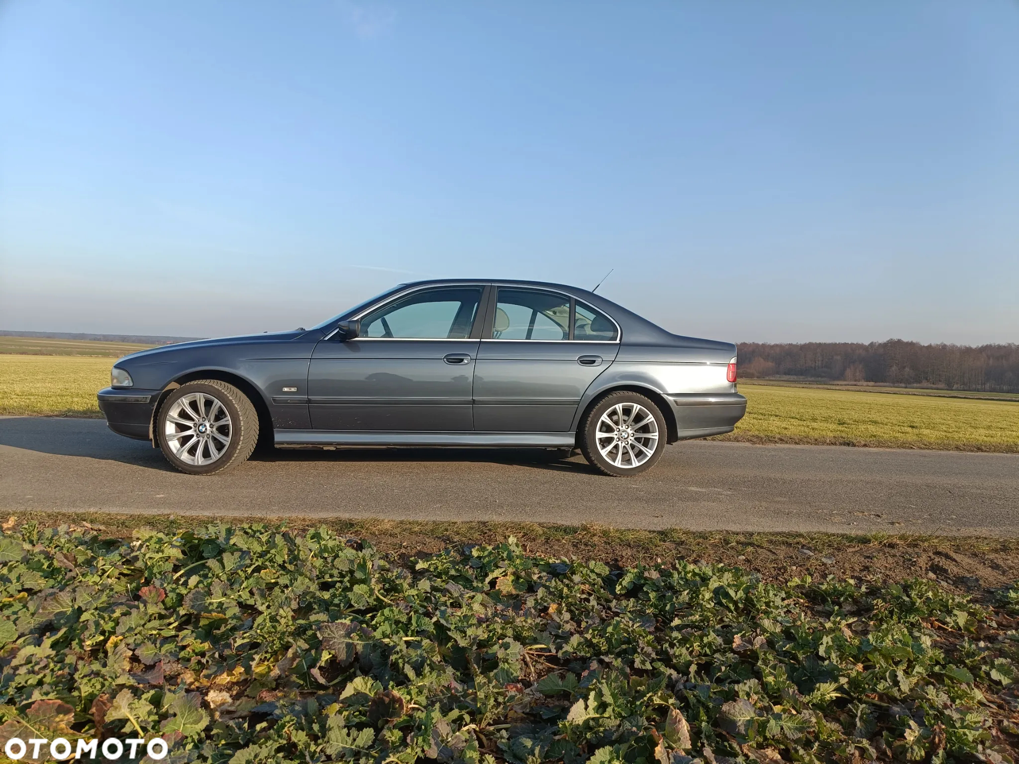BMW Seria 5 525tds - 7