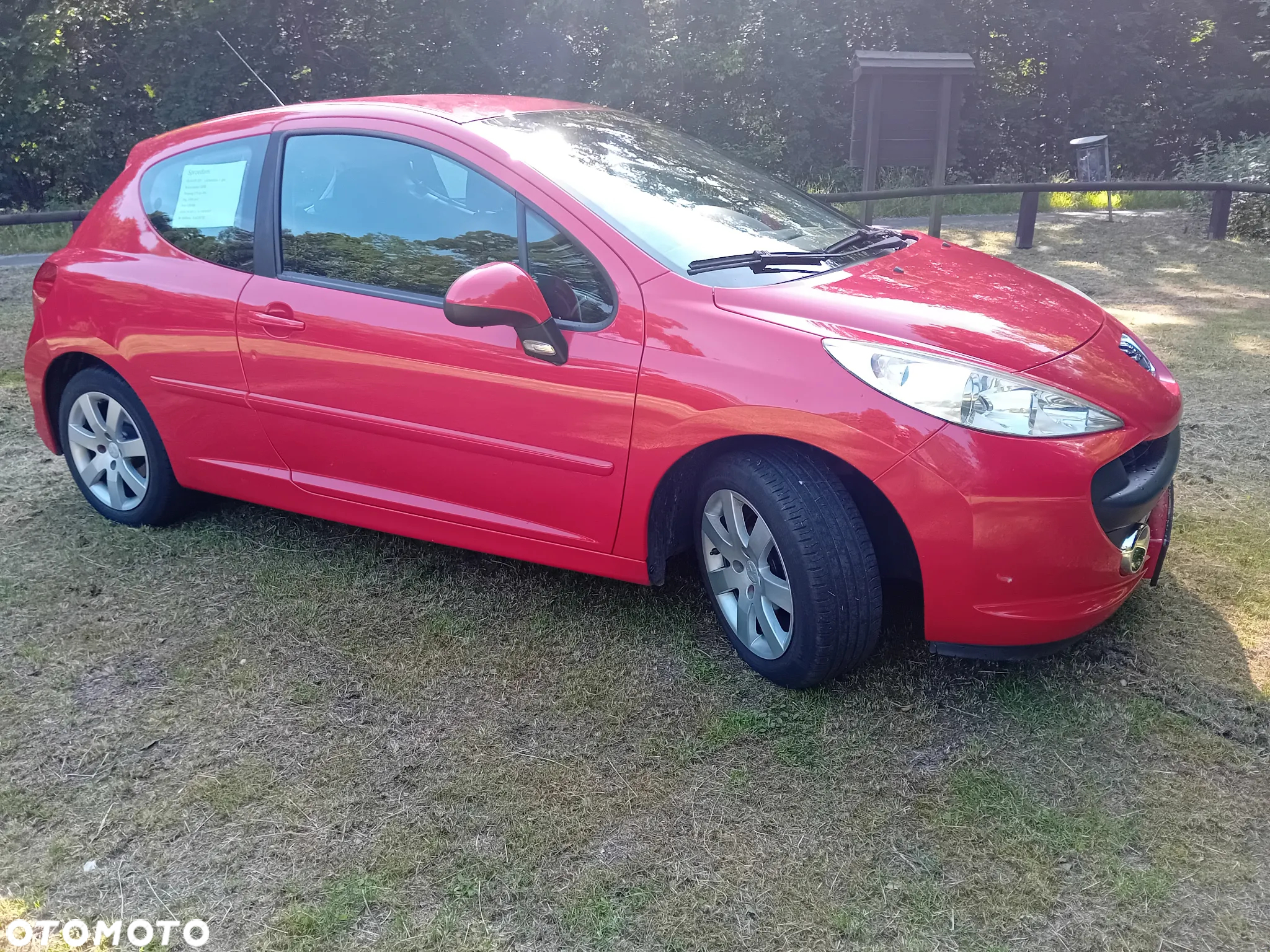 Peugeot 207 - 9