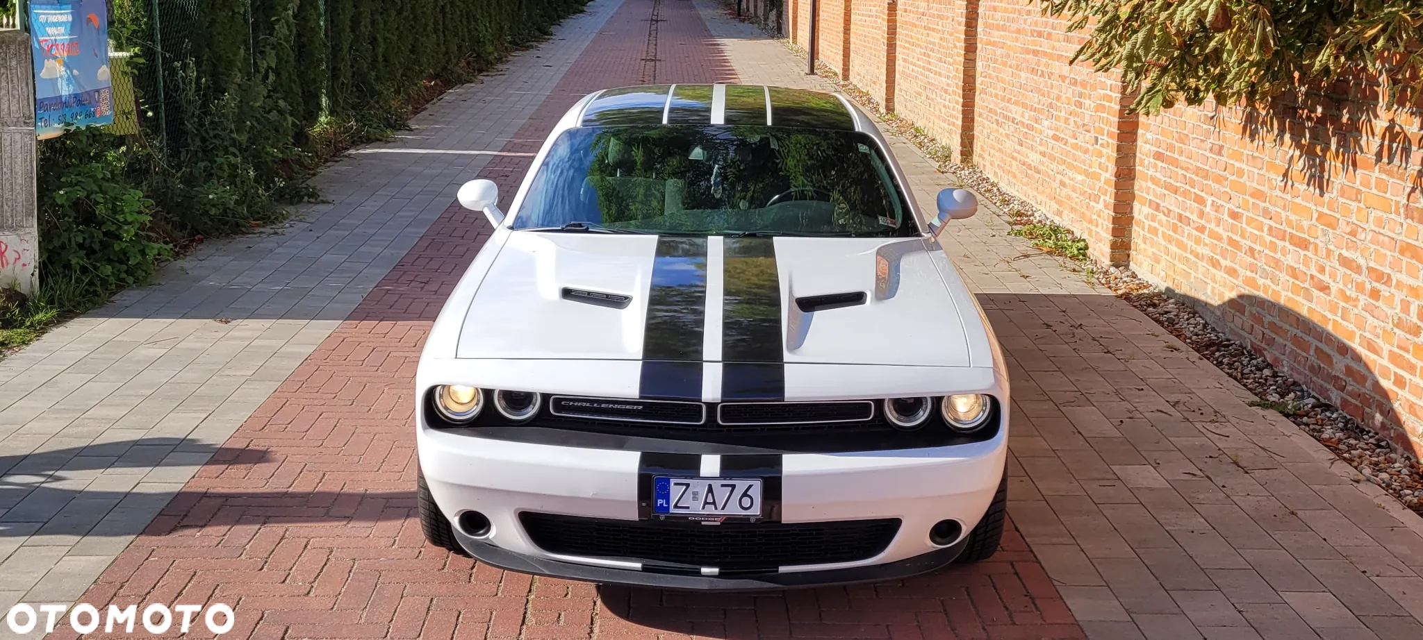 Dodge Challenger - 2