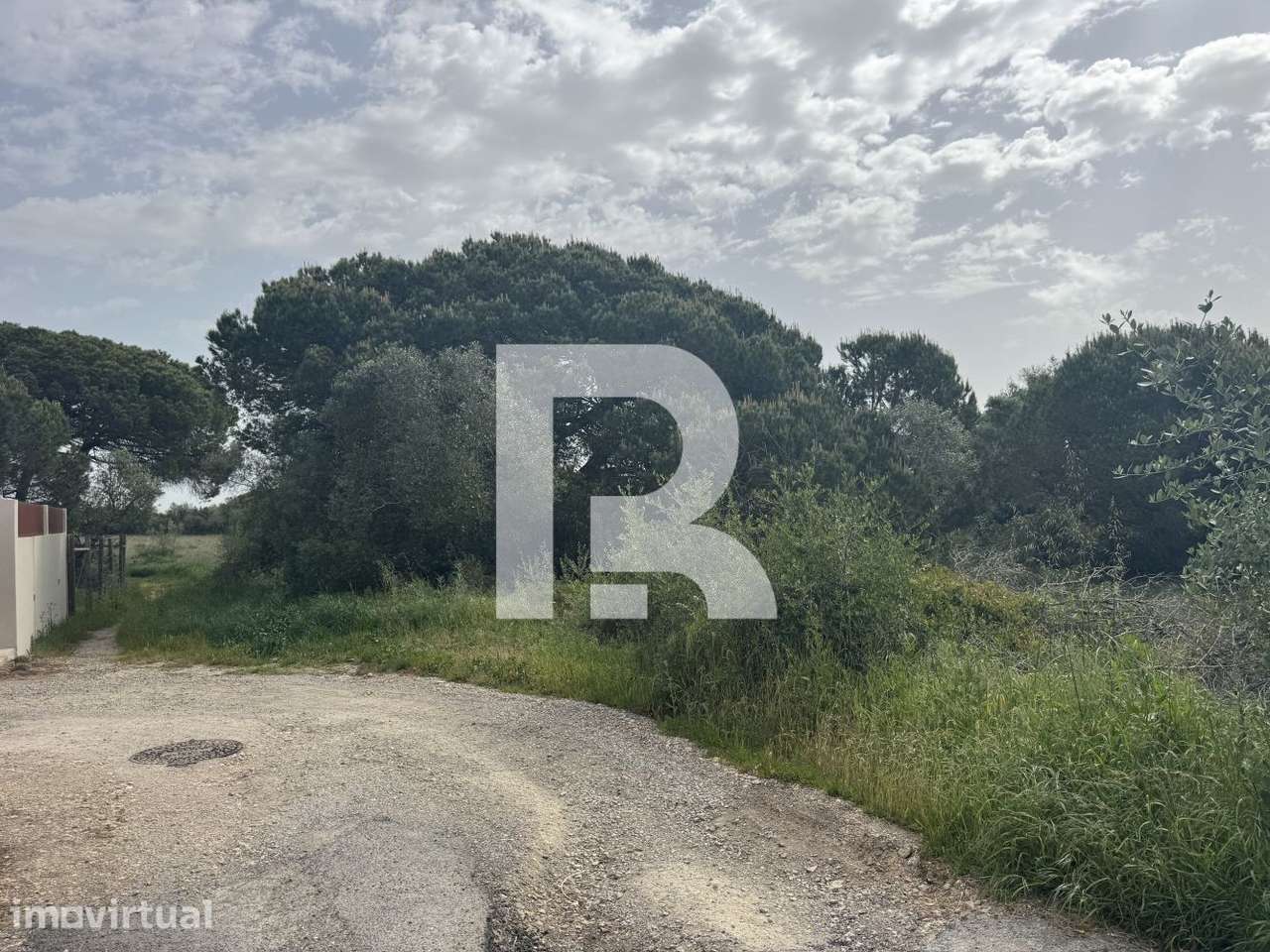 Terreno na Terrugem, Sintra - Grande imagem: 3/10