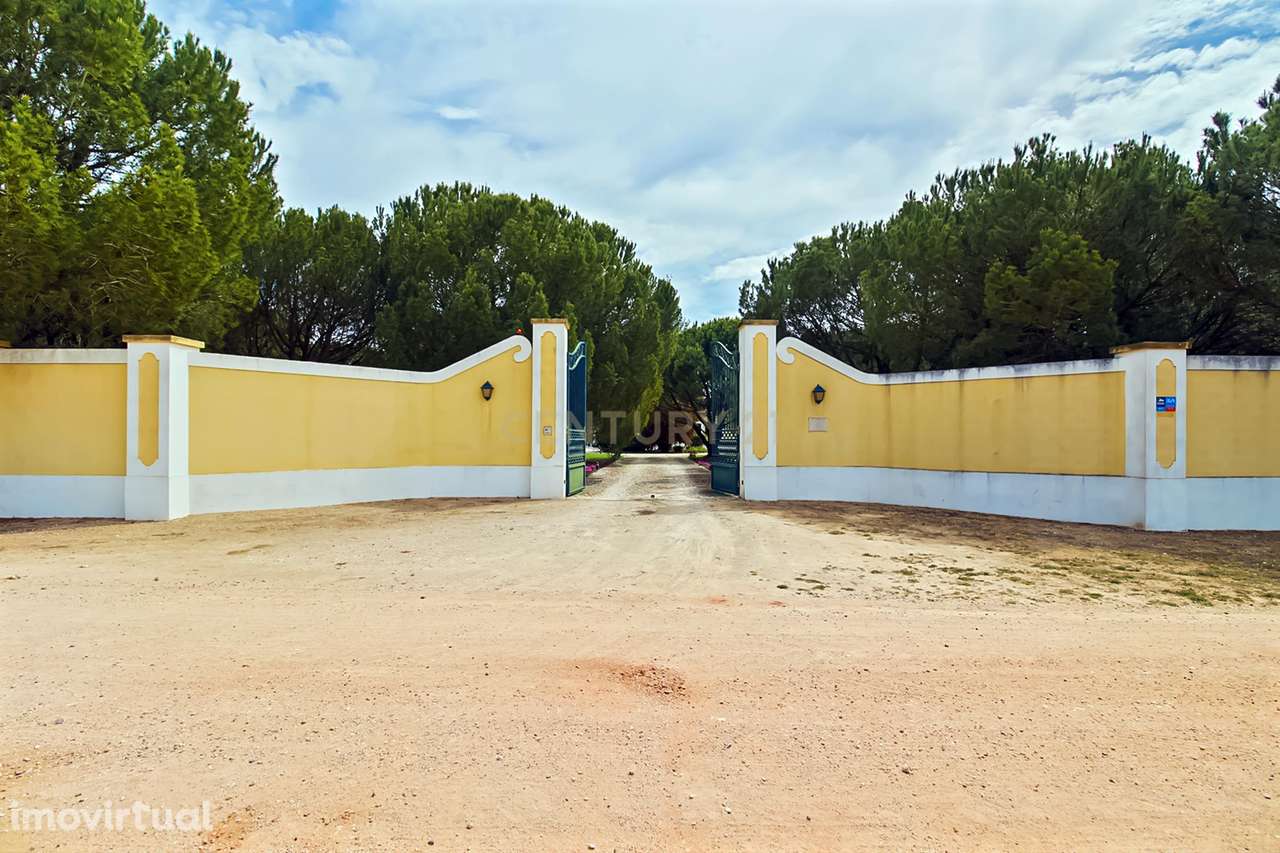 MORADIA TÉRREA | 4 QUARTOS | PISCINA | 20.000 m2 TERRENO | SANTO ESTEV - Grande imagem: 2/34