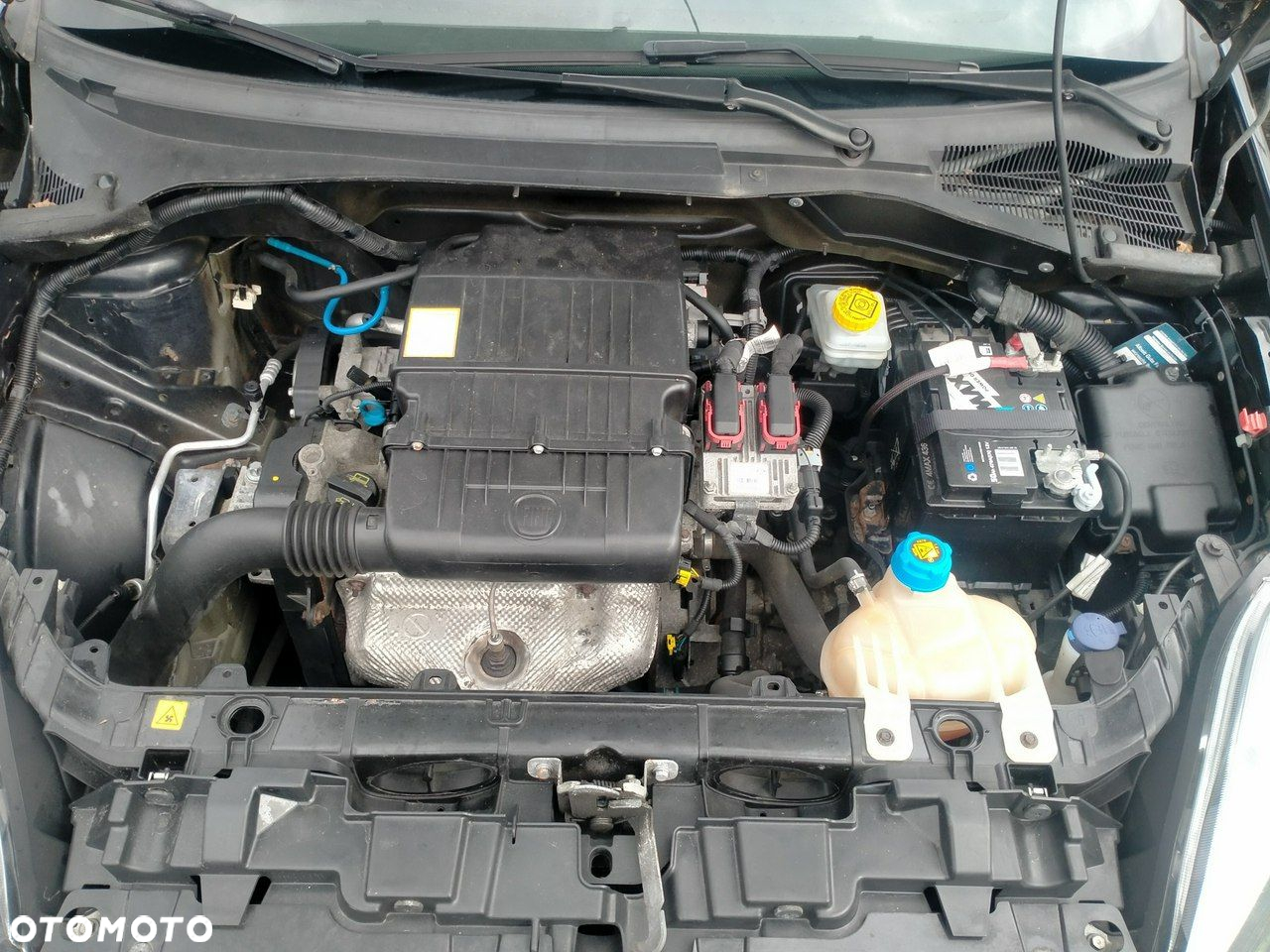 Fiat Punto 2012 - 17