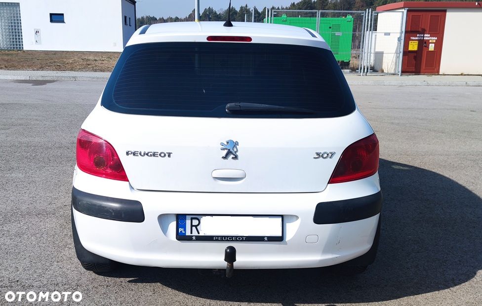 Peugeot 307 - 15