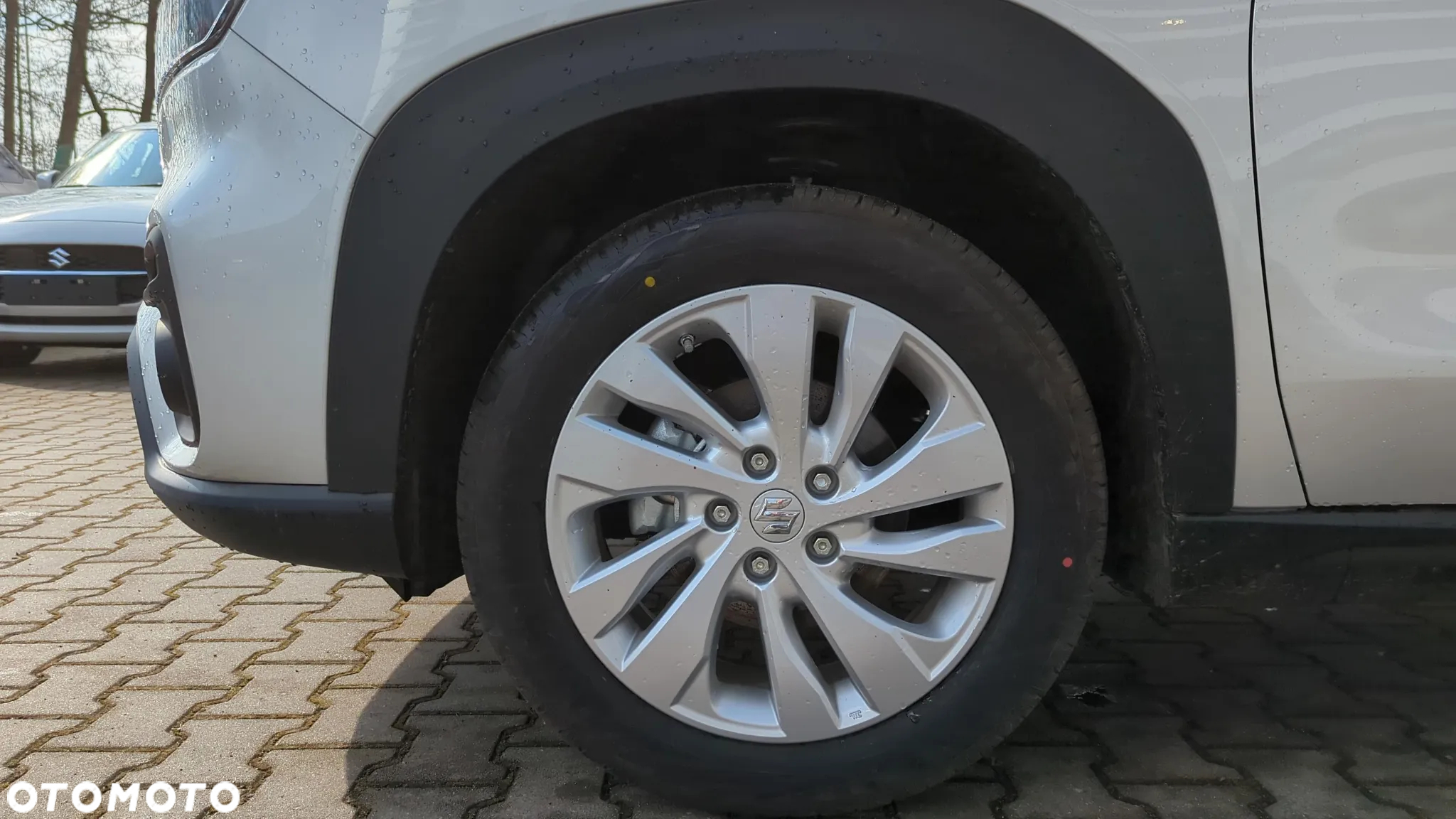 Suzuki SX4 S-Cross 1.5 DualJet Hybrid Premium AGS - 8