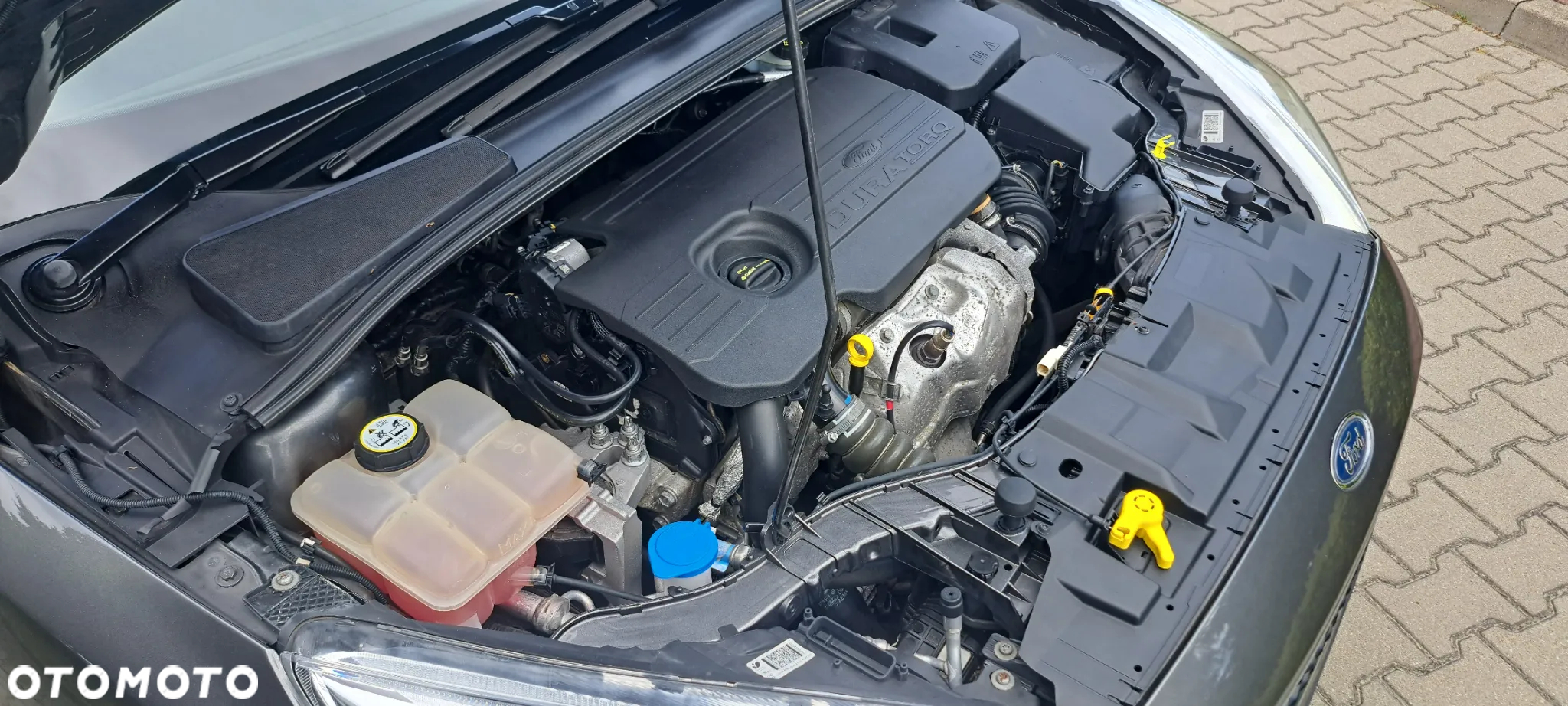 Ford Focus - 31