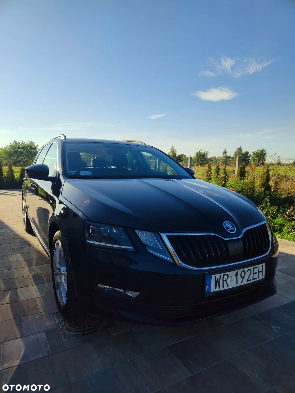 Skoda Octavia - 1