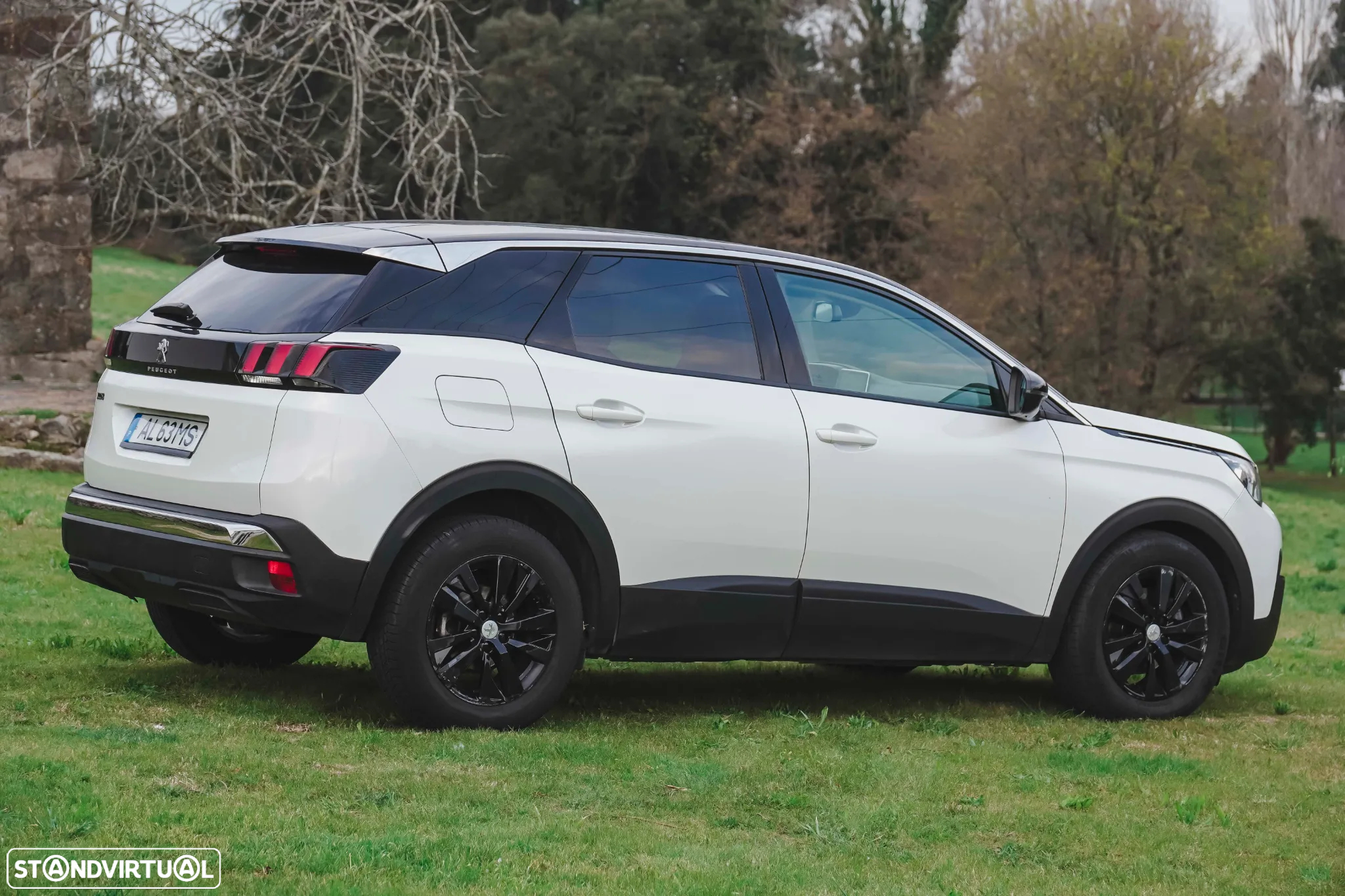 Peugeot 3008 - 18