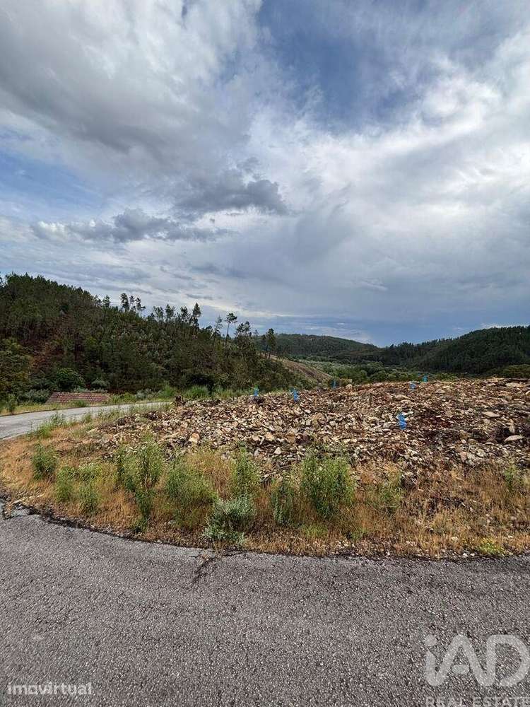 Quinta agricola em Sarzedas de 6840 m2 - Grande imagem: 2/18
